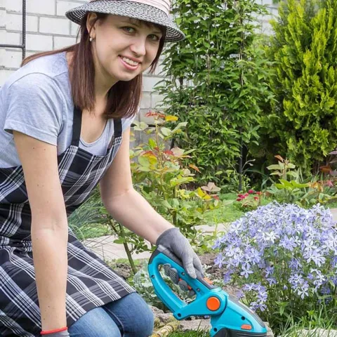 Busy Gardener – Month to Month - Laguna Beach