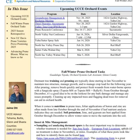 SAC VALLEY PRUNE FALL 25