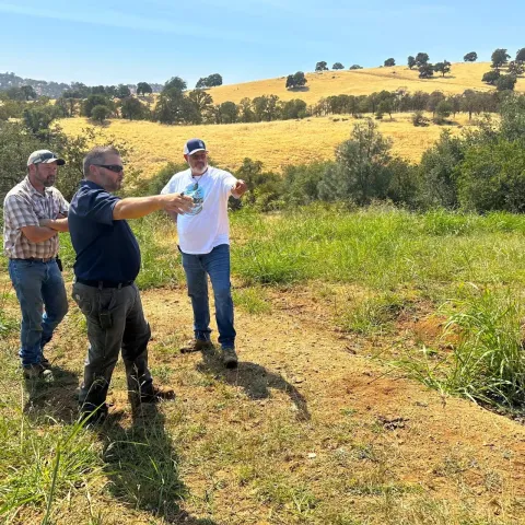 Investigadores hacen un recorrido por los campos.