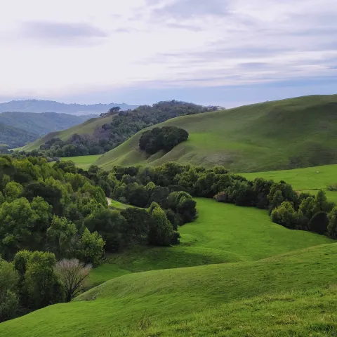 Veiw of rolling hills, Briones Regional Park