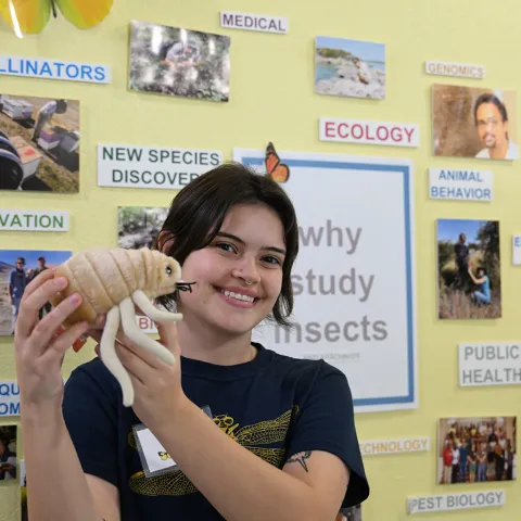 UC Davis entomologist student Jo Ridgeway, a Bohart Museum of Entomology intern, shows a stuffed toy animal, a tick, from the Bohart gift shop. (Photo by Kathy Keatley Garvey)