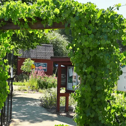 Demonstration Garden Entry