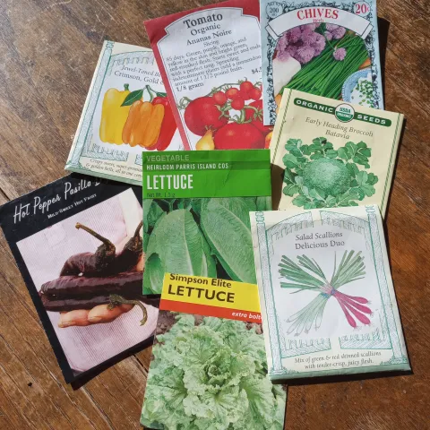 Colorful seed packets on a brown wooden background. Packets are Tomato, Chives, Broccoli, Lettuce, Hot Peppers, Salad Scallions, and Peppers