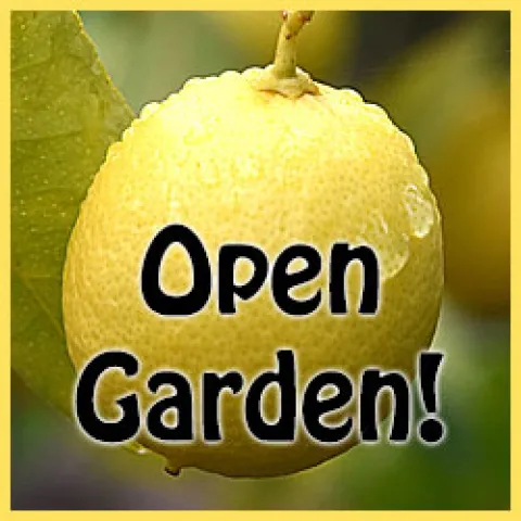 Open Garden