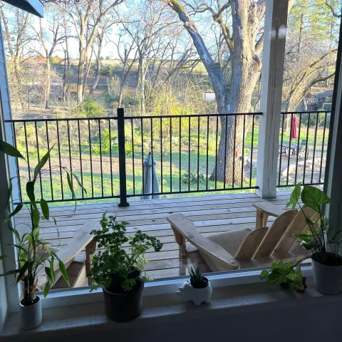 Parsley sharing space with other houseplants on a window sill. Debi Durham