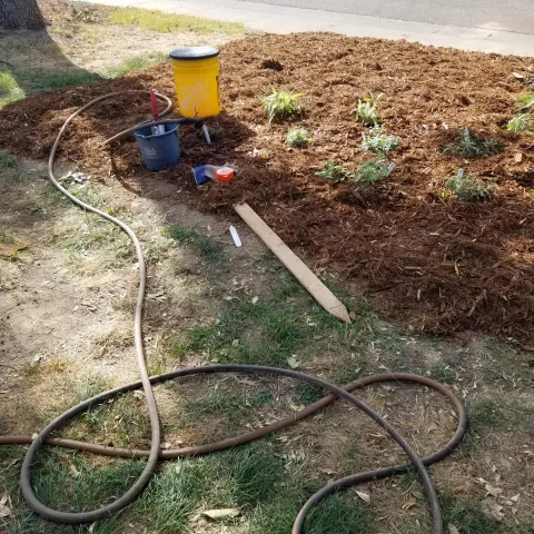 new garden with small plants and planting in progress