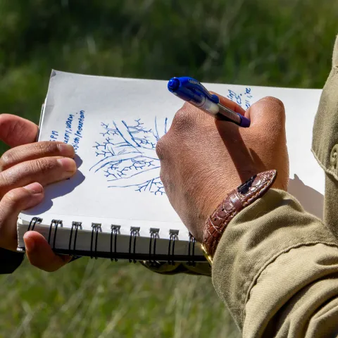 A person's hands writing in a nature journal