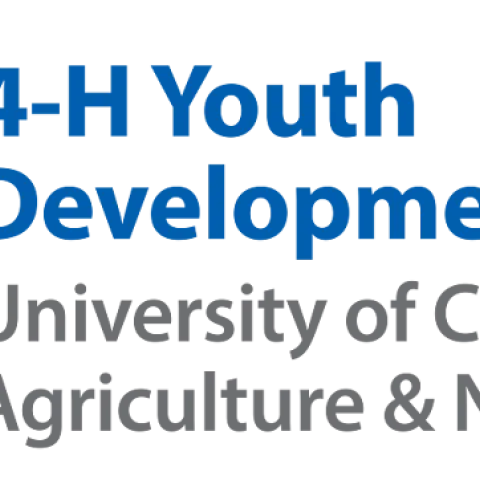 California 4-H Logo