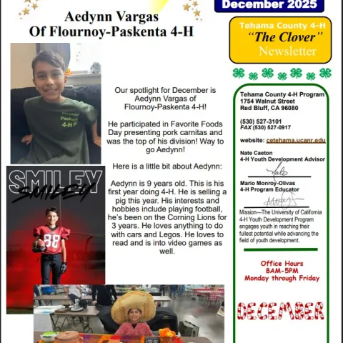 December 2025 Clover