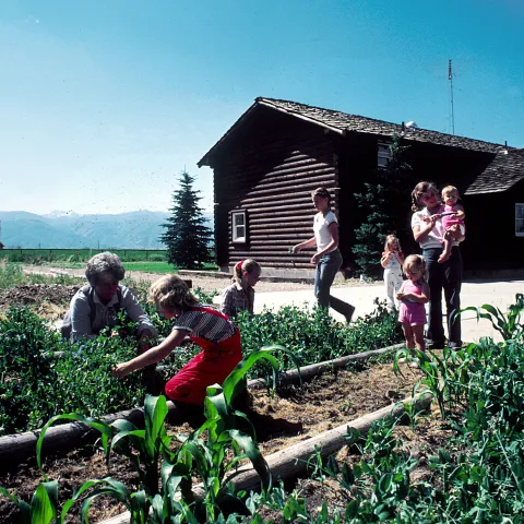 Family in the garden