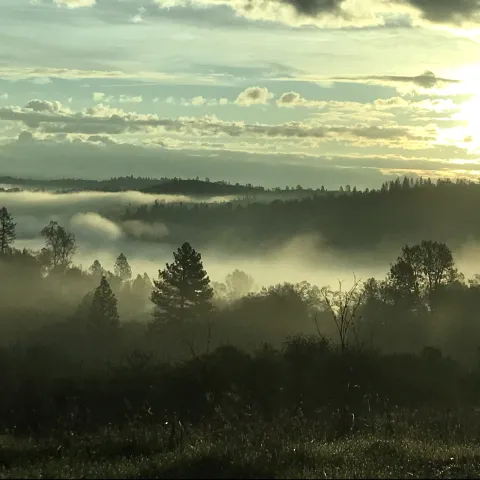 Auburn CA American River Canyon