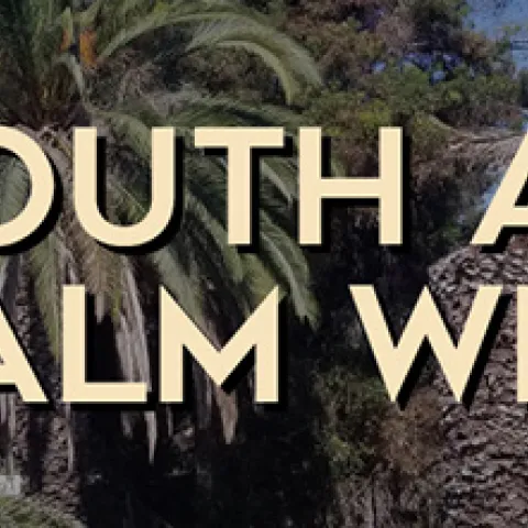 South American Palm Weevil Banner