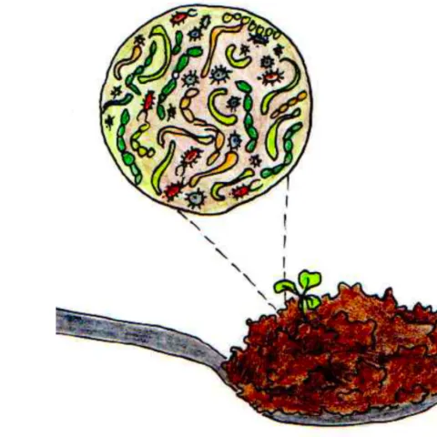 A Spoonful of Soil Organisms