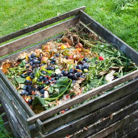 backyard composting