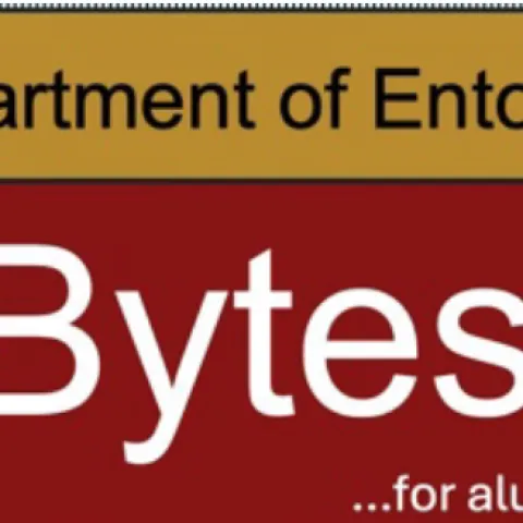 Bug Bytes newsletter, 2025 in Review