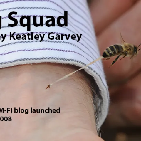 A daily (M-F) blog launched Aug. 6, 2008 and about the wonderful world of insects and those who study them. (Photo by Kathy Keatley Garvey)