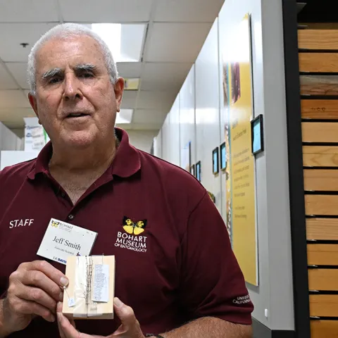 Jeff Smith, curator of Lepidoptera collection, Bohart Museum of Entomology