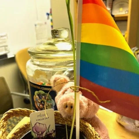 A lily plant that is just starting to sprout in a basket with a 4H stuffed pig holding it and a pride flag as a post to keep the lily growing straight
