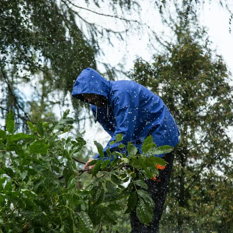 woman shaking water off a shrub