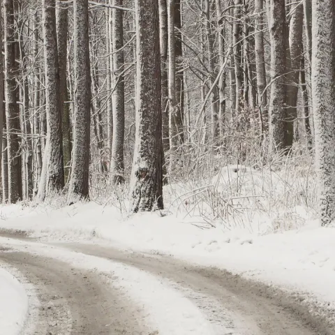 two people walking together on a snowy path