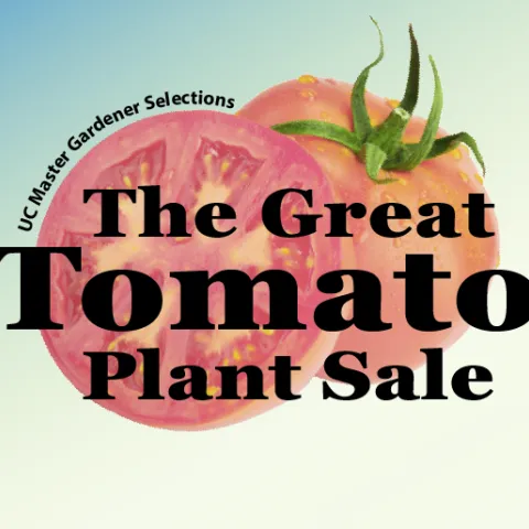 GTPS Logo colored 610by514