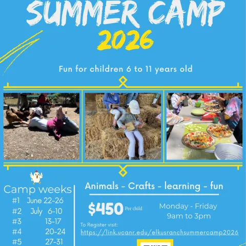 2026 summer camp flyer