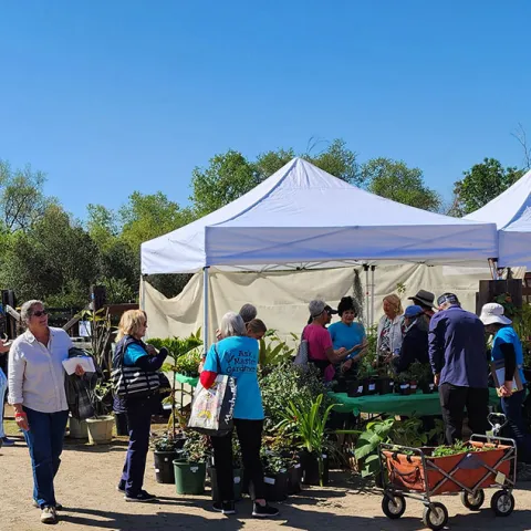 People in distance walking around booths with plants at an outdoor event with trees, blue sky, and a flier alongside with event information