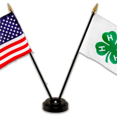 4-H Council Meeting flags