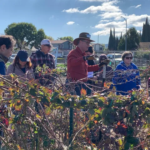 Berry Demonstration by Jim Bell at MCP