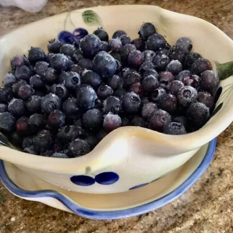 Blueberries, Jeff Jenks