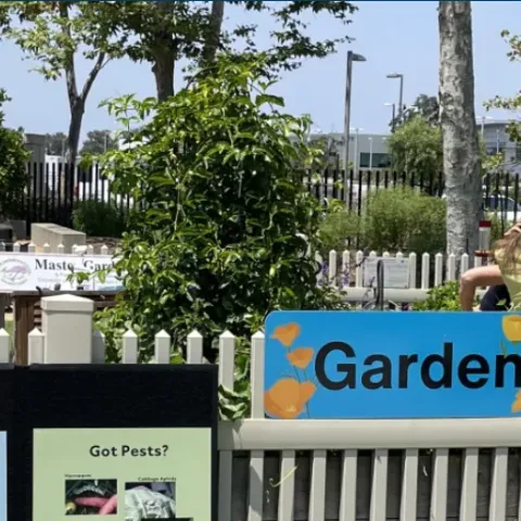 Community Garden Graphic