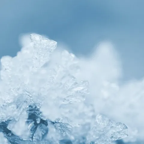 ice or frost closeup