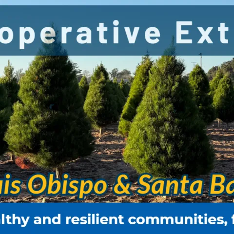 UCCE SLO & Santa Barbara December 2025