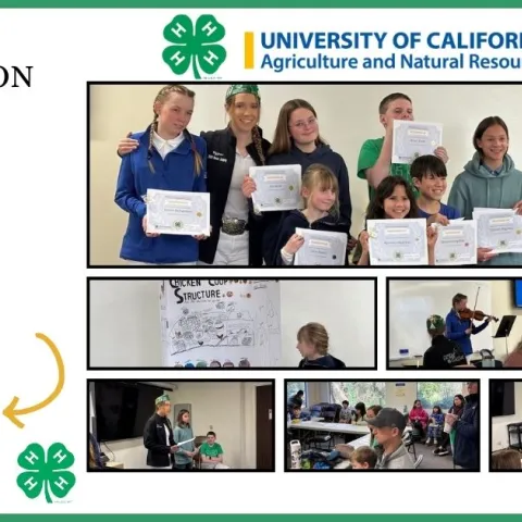 Presentation Day Flyer with QR code