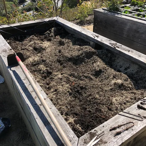 growing edibles in raised beds