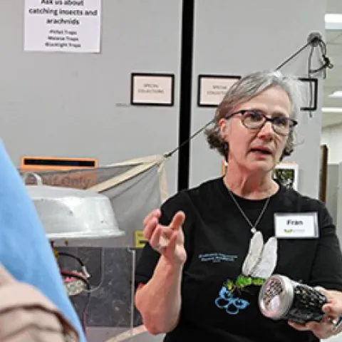 Professor Fran Keller interacting with visitors at the Bohart Museum of Entomology.