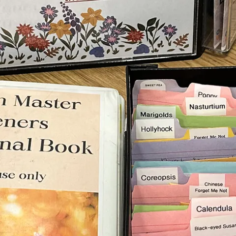 seed library seed swap