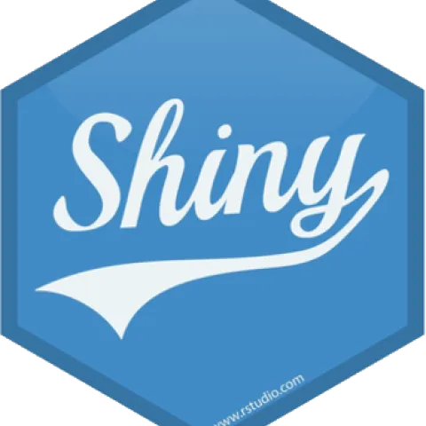 Shiny logo