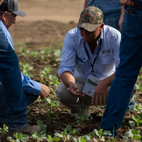 Small group reviewing crop conditions during an agtech demo
