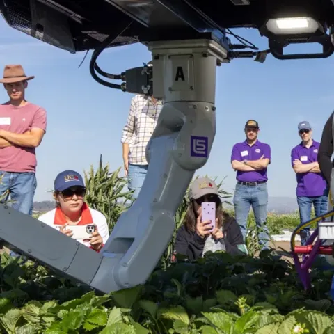Strawberry harvesting robot demonstration at Hansen Agricultural Research and Extension Center