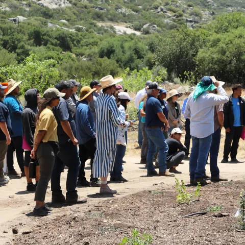 Agave Workshop Group