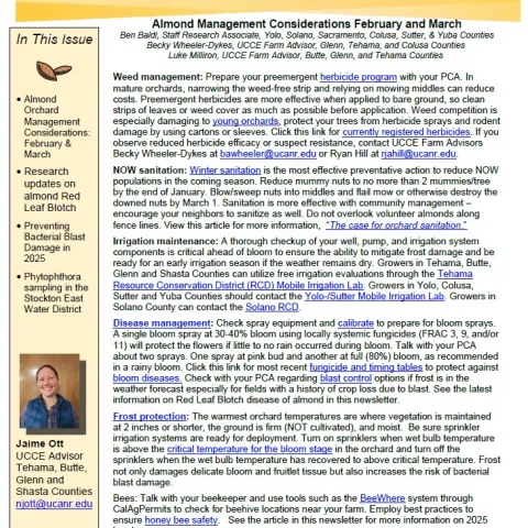 Almond News Bloom 26.jpg