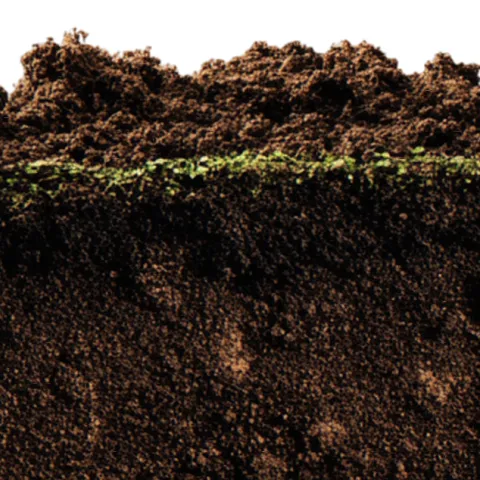 brown layers of soil with a small layer of green moss