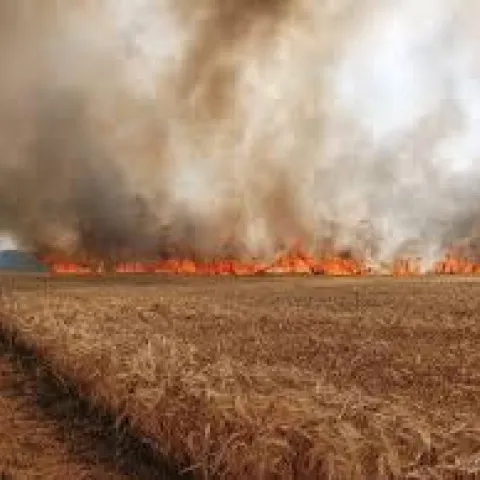 Fire on agricultural lands