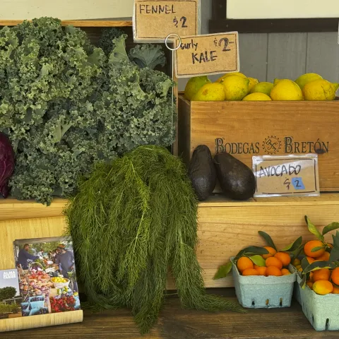 Repollo morado, cilantro, limones y otros vegetales de venta 