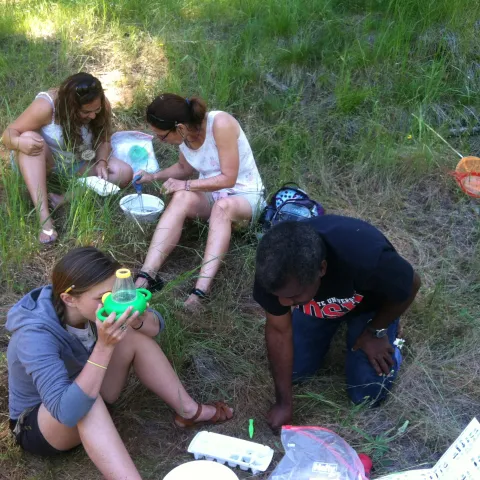 Teachers performing water quality tests