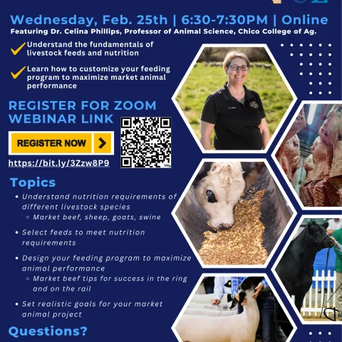 Livestock Feeds and Feeding 101