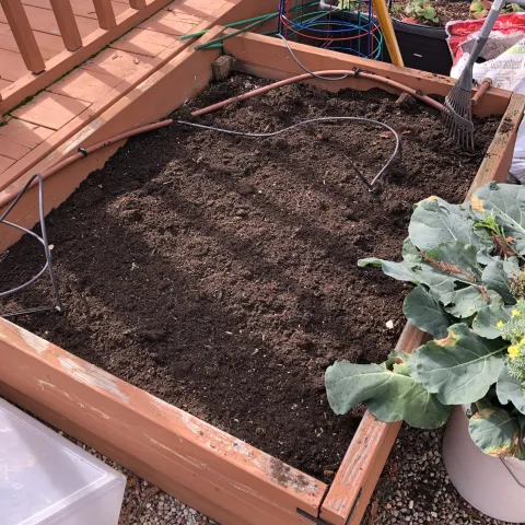 Prepped and ready garden bed