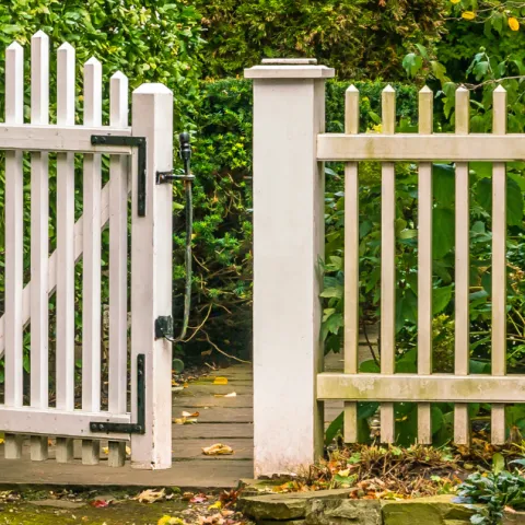 White garden gate surrounds by hedges