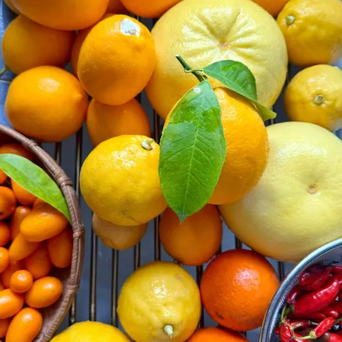 a pile of citrus fruits